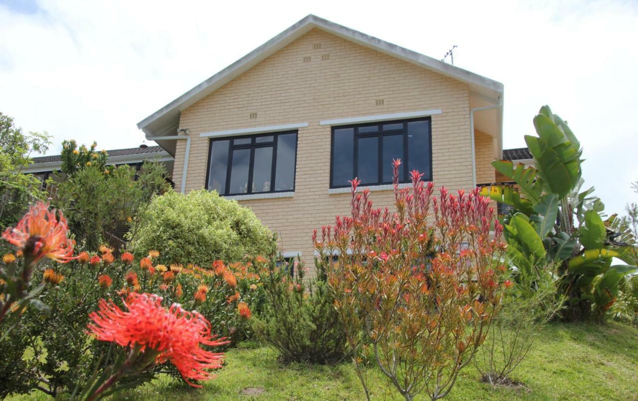Garden Cottage In Ambiente Guest House クニスナ エクステリア 写真